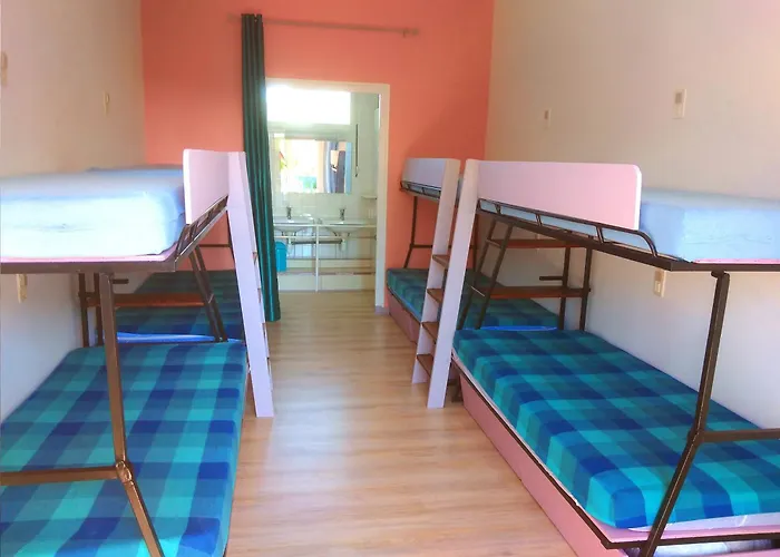 Gites Et Chambres La Colo Du Gave